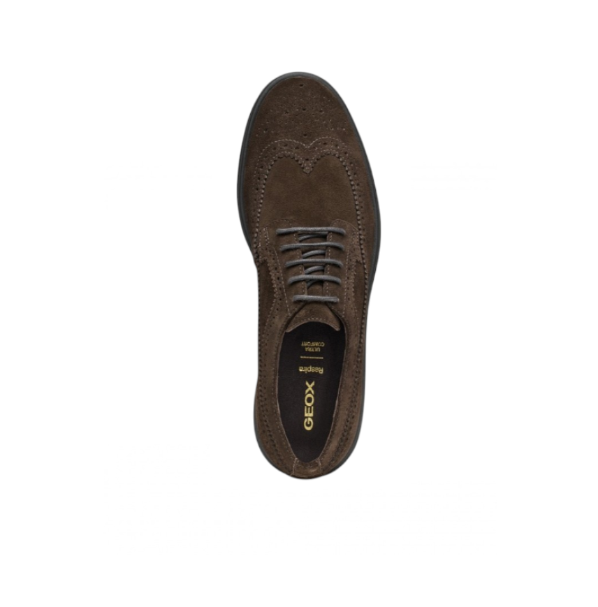 SPHERICA EC17 - DK BROWN - MAN