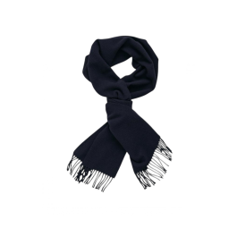 ΚΑΣΚΩΛ ΑΝΔΡΙΚΑ SCARVES
