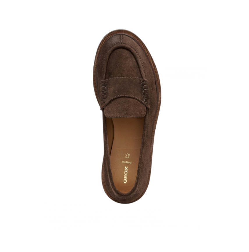 NORIZE - DK BROWN - WOMAN - MO