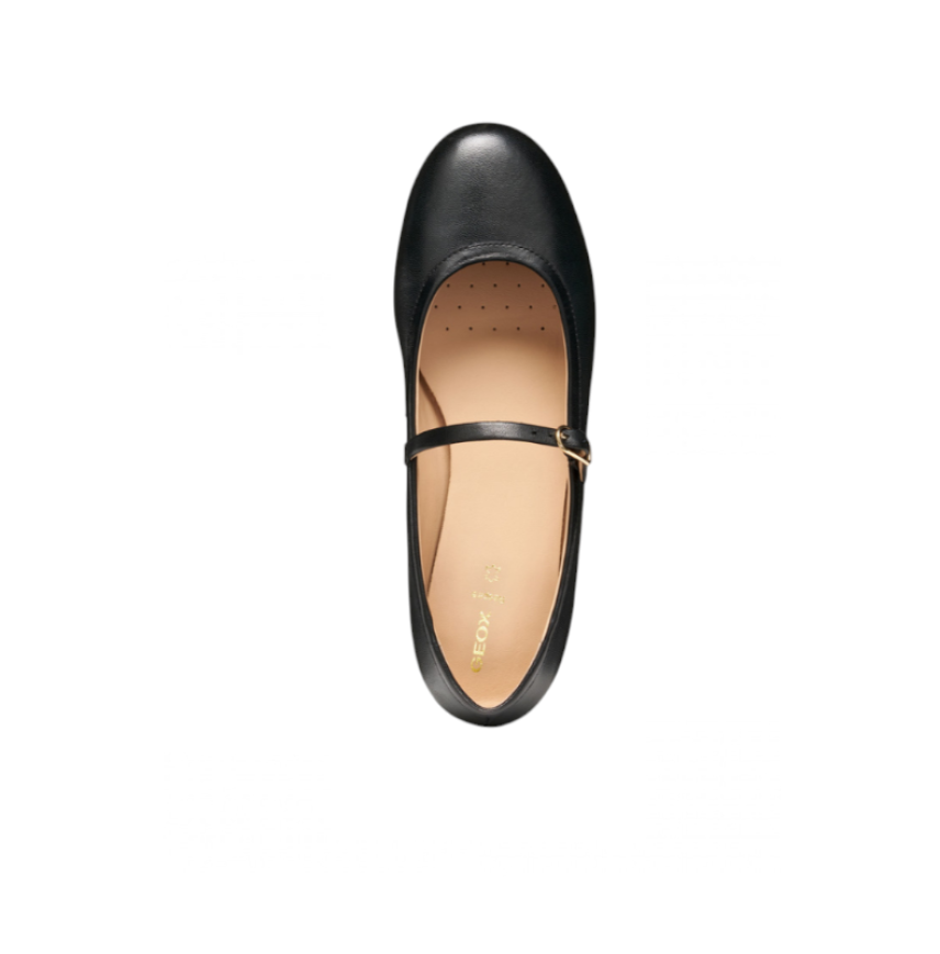 PALMARIA A - NAPPA SHEEP LEA -