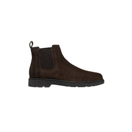 MASSIMIANO B - SUEDE - DK BROW
