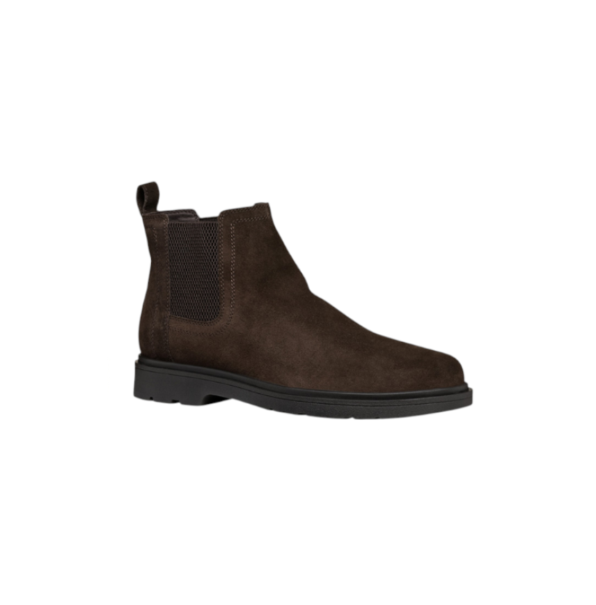 MASSIMIANO B - SUEDE - DK BROW