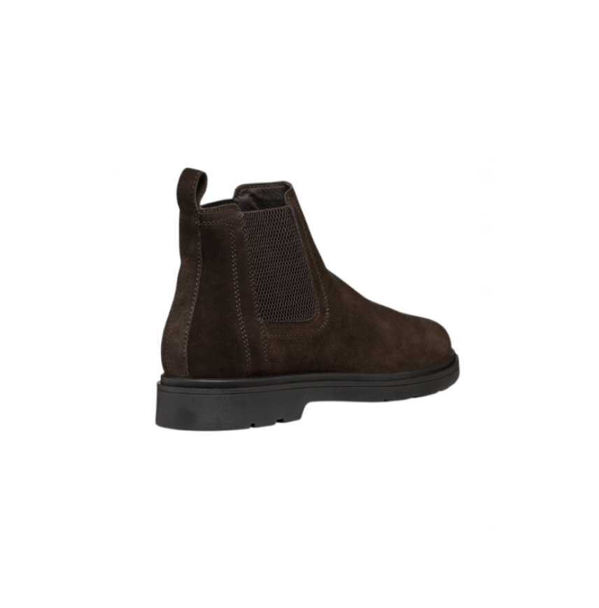 MASSIMIANO B - SUEDE - DK BROW