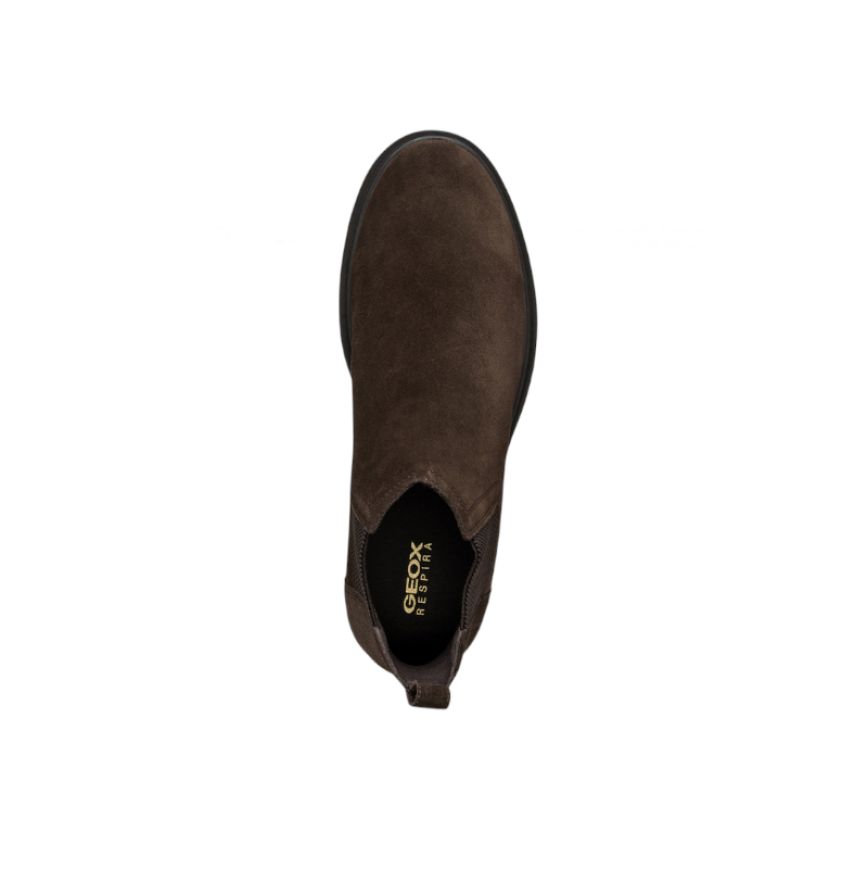 MASSIMIANO B - SUEDE - DK BROW