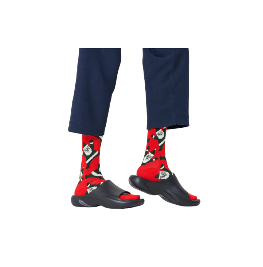 Santa Sock Santa Sock