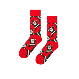 Santa Sock