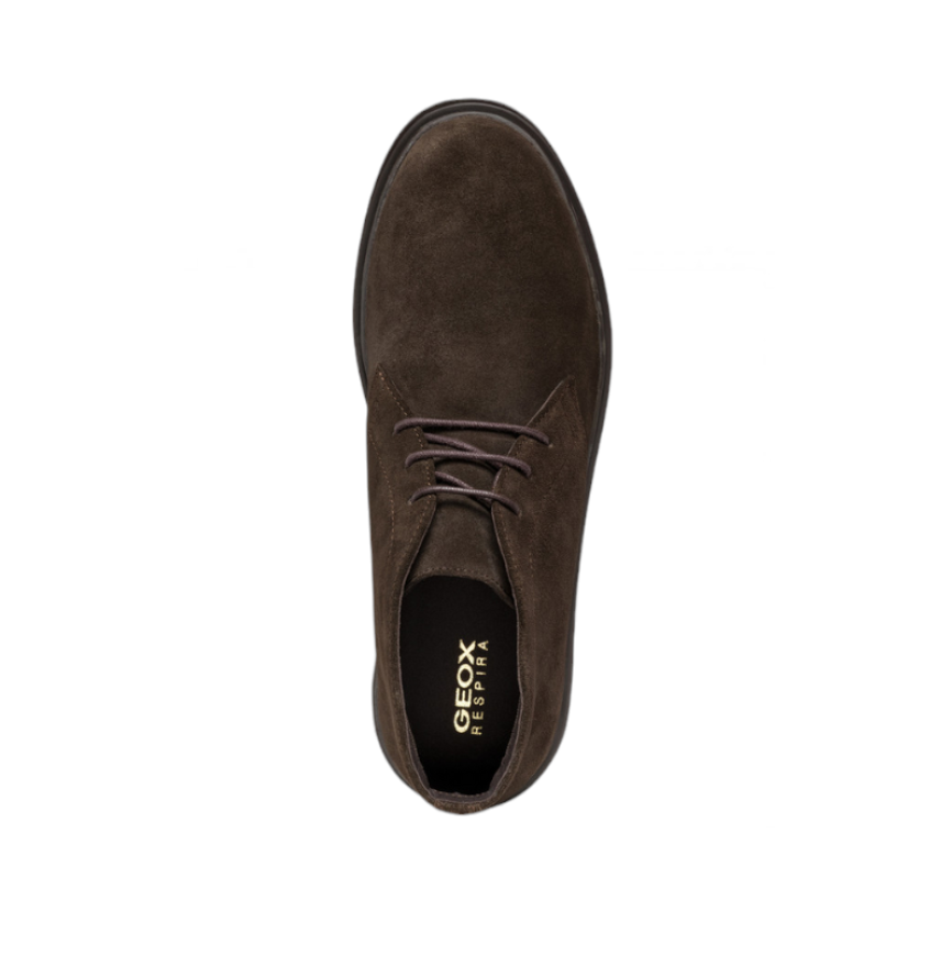 MASSIMIANO A - SUEDE - DK COFF