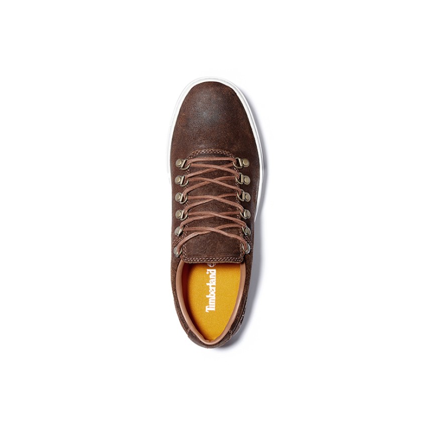 Men shoes Adv 2.0 Cupsole Alpi